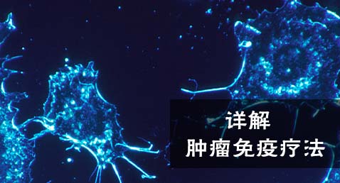 详解肿瘤免疫疗法