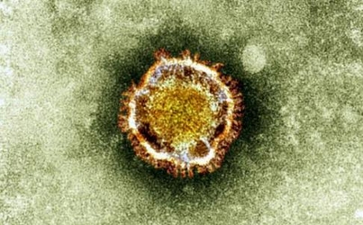 新型冠状病毒疫情进展