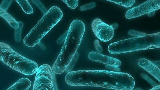 美国发现无敌细菌(组图):抵抗所有抗生素 目前无药可治！