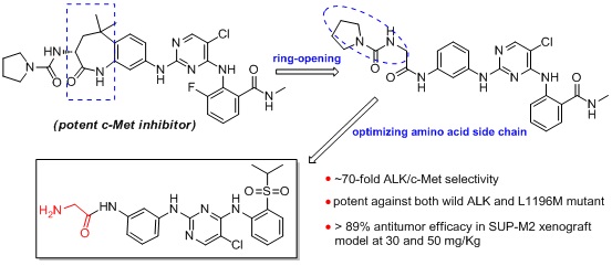 靶向酪氨酸激酶ALK的第二代小分子抑制剂被上海药物所发现