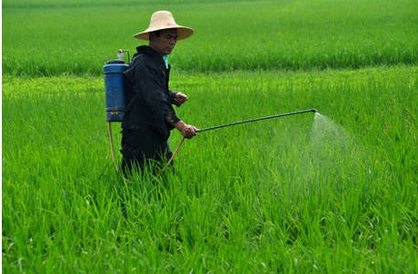 农药增加新生儿患自闭症风险