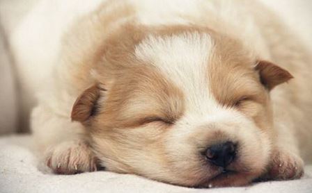 早起or晚睡，你喜欢哪一种？