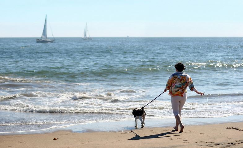 养狗可以变年轻？