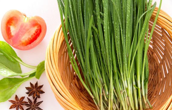 韭菜壮阳只是个传说