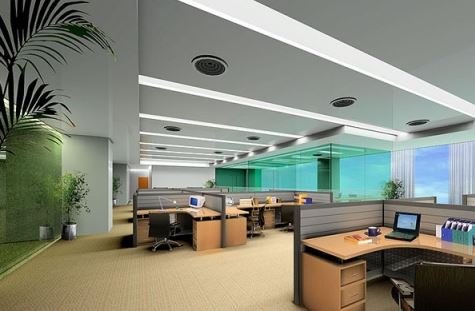 办公室里也需要自然光