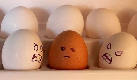 鸡蛋颜色影响营养吗？