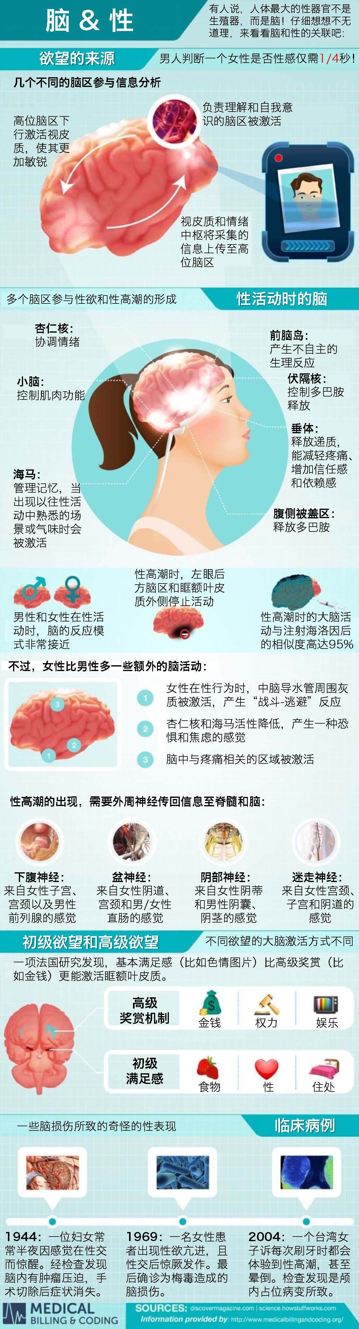 脑与性的关联