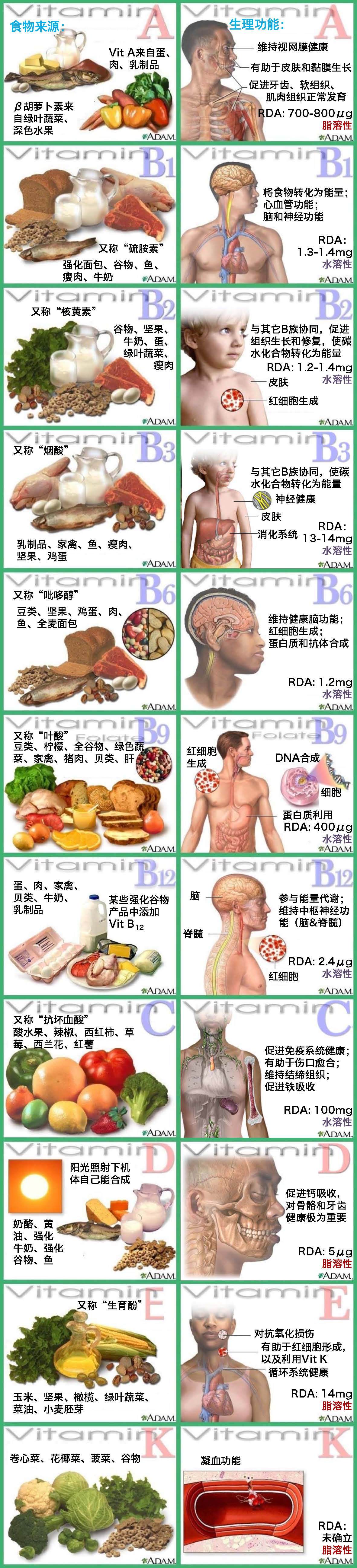 维生素的来源及其功能