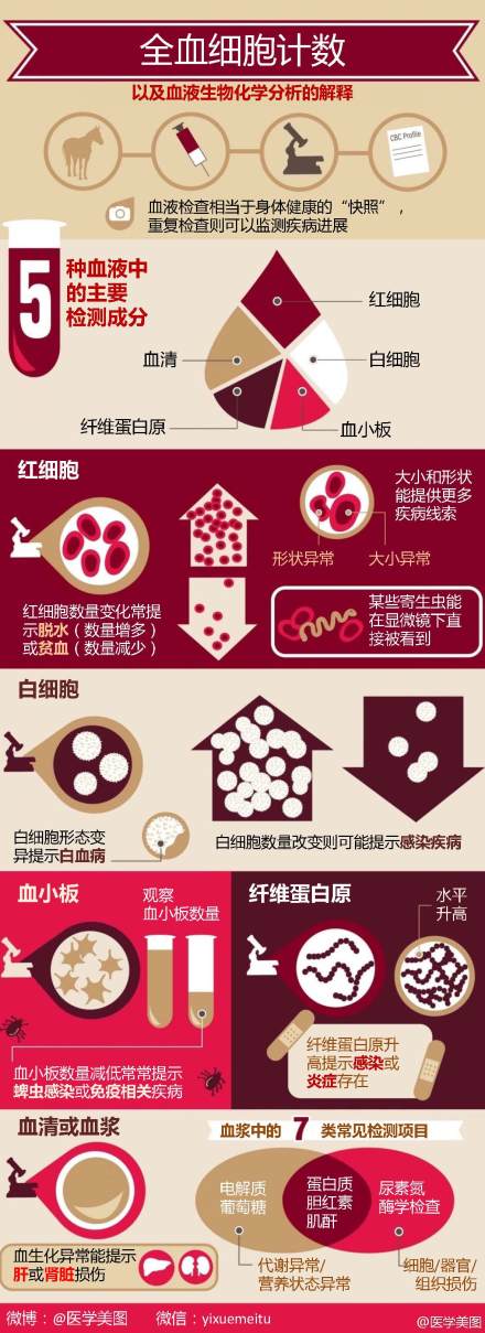 常规血液检查小常识