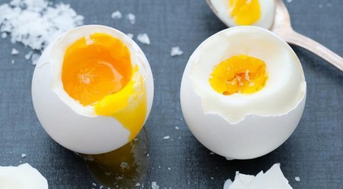 美澳科学家成功将熟鸡蛋变生