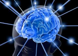 华人科学家Nature挖掘延年益寿之方