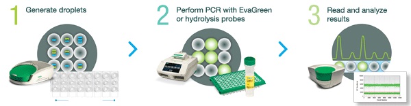 digital-pcr-system.jpg