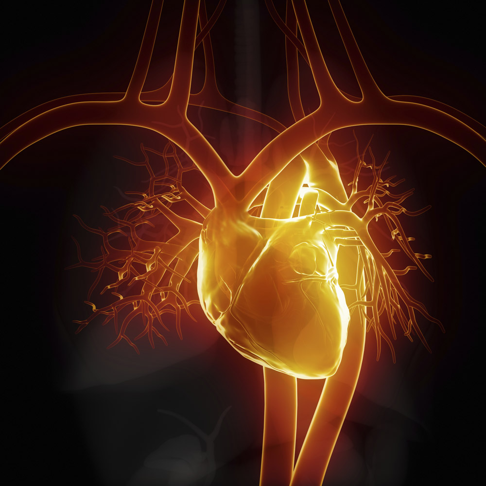 检验血液中游离DNA可检测心脏移植排斥反应