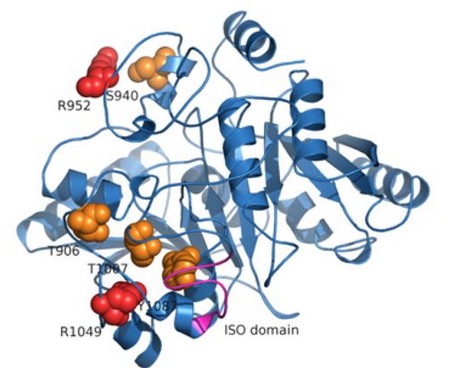 EMBO Reports：癫痫症发病的新型遗传机制被发现