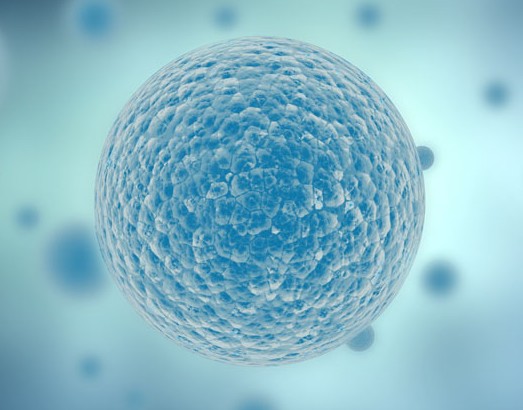 Nature:p110δ 抑制因子限制Treg细胞的活性