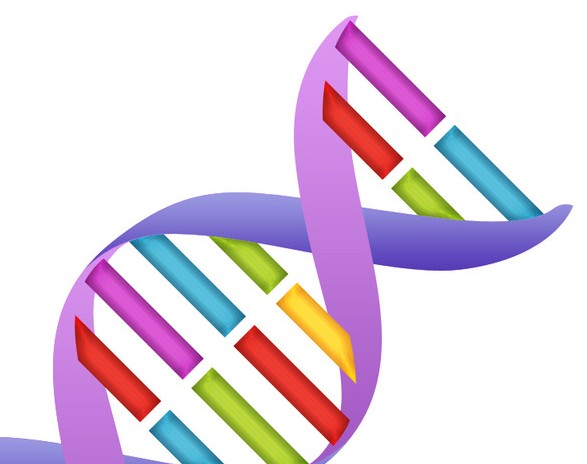 Nature:跟踪基因表达的变化