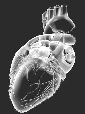 研究发现肌肉萎缩症患者心脏衰竭的原因