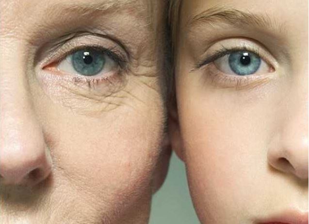 Nat Commun：慢性炎症加速衰老