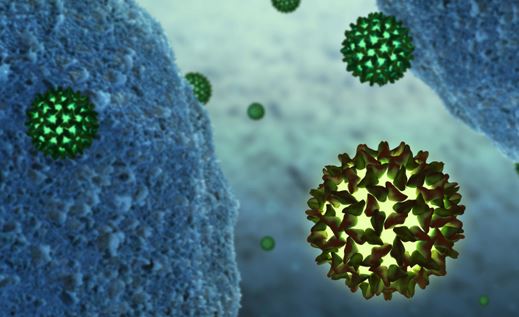 Gastroenterology：抗病毒治疗可减少慢性乙肝患者肝癌的风险