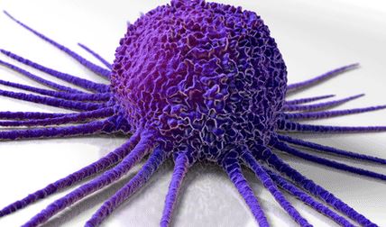 Nature：癌细胞的“防御机制”