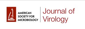 JVI：编辑HPV病毒基因可以导致癌细胞的自我毁灭