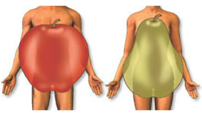 JACC：梨型身材更健康