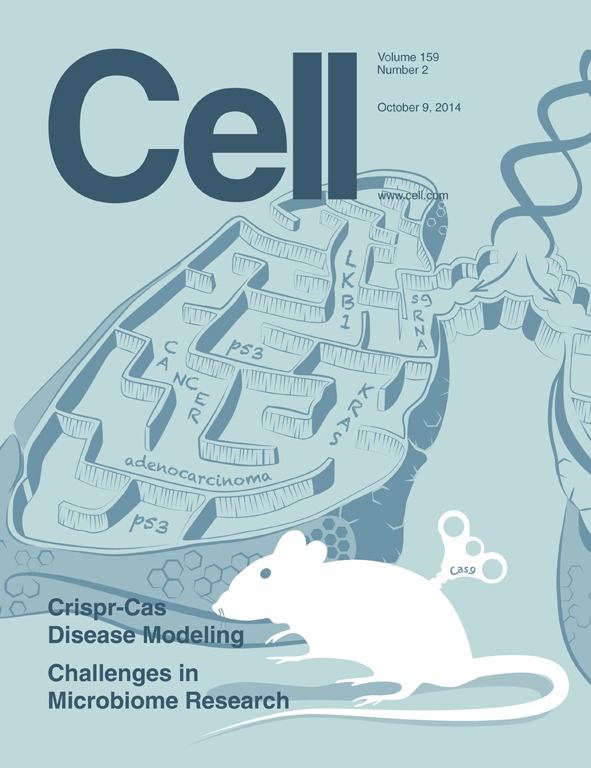 干细胞治疗糖尿病，科学研究与临床应用的重大突破