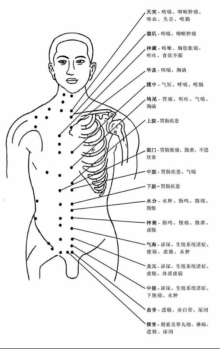胸部穴位和穴位功能
