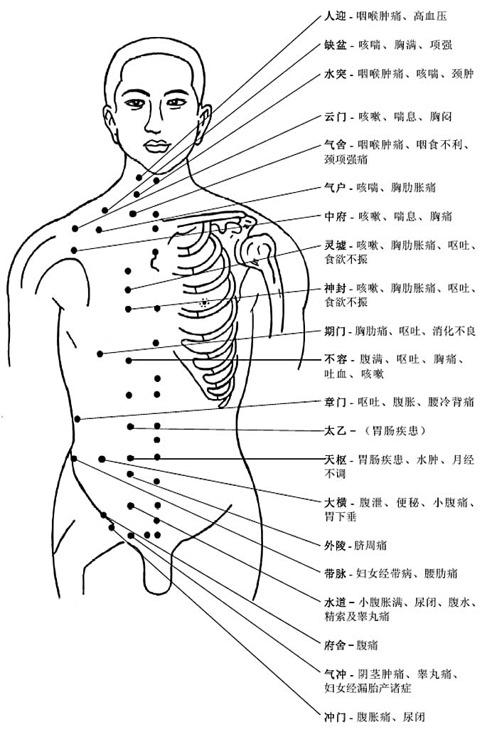 胸部穴位和穴位功能