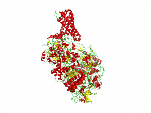 Nitrate reductase.png